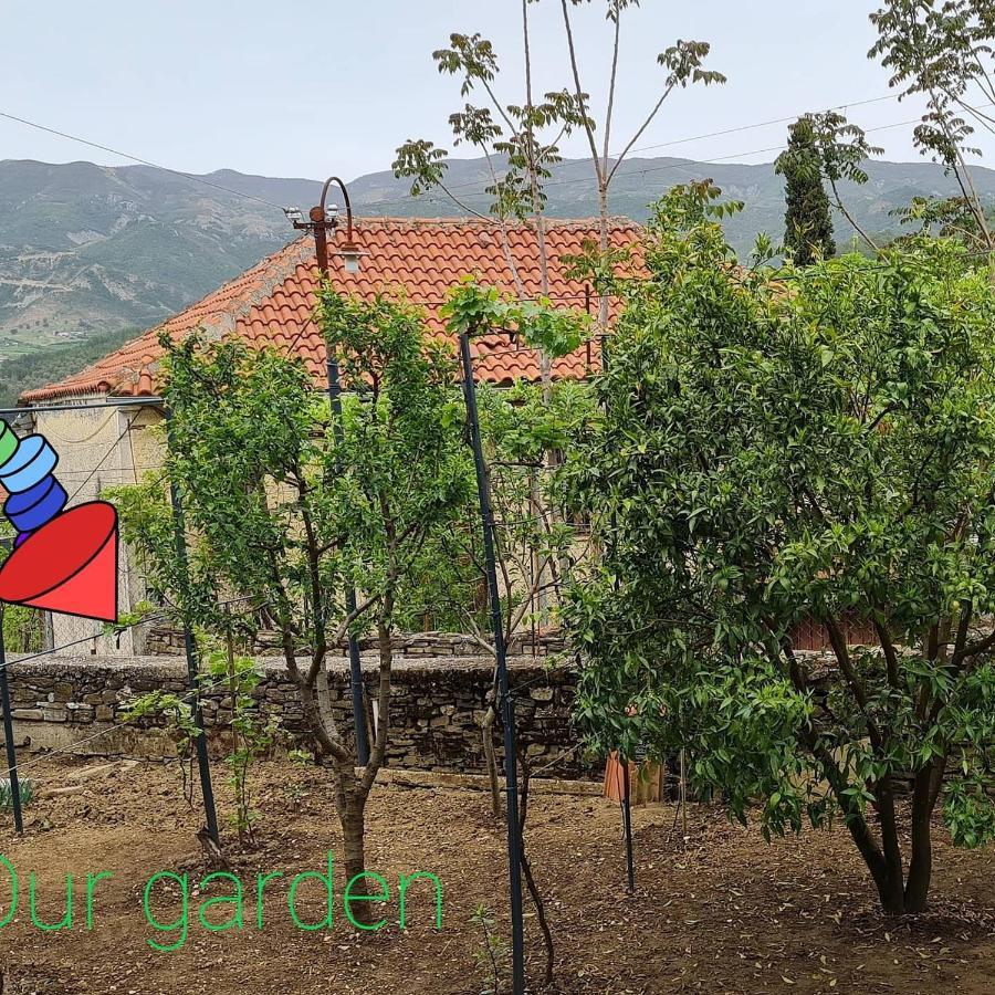 Garden Guest House Permet Exterior photo